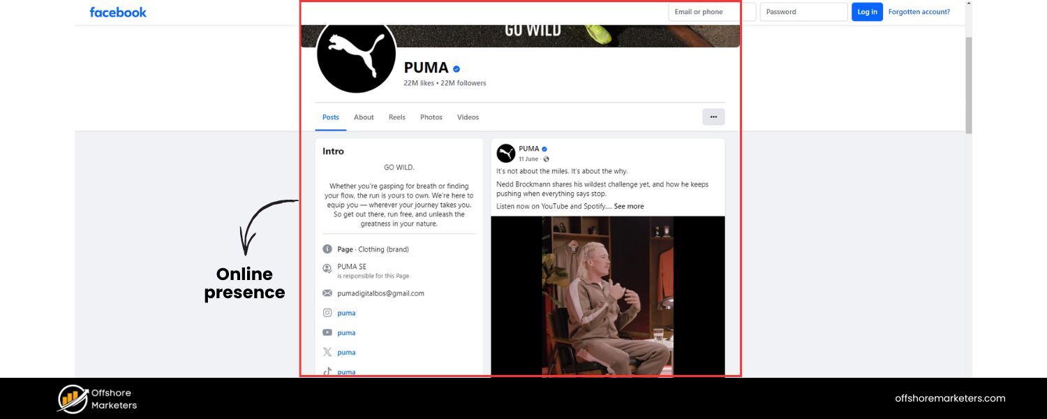 Social Signals and Online Presence