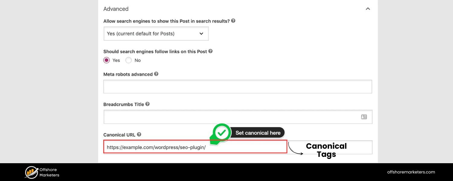 Implement Canonical Tags