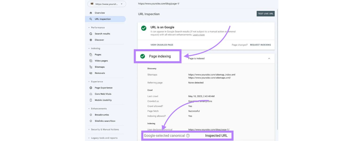 Use Canonical Tags on Parameterized Pages