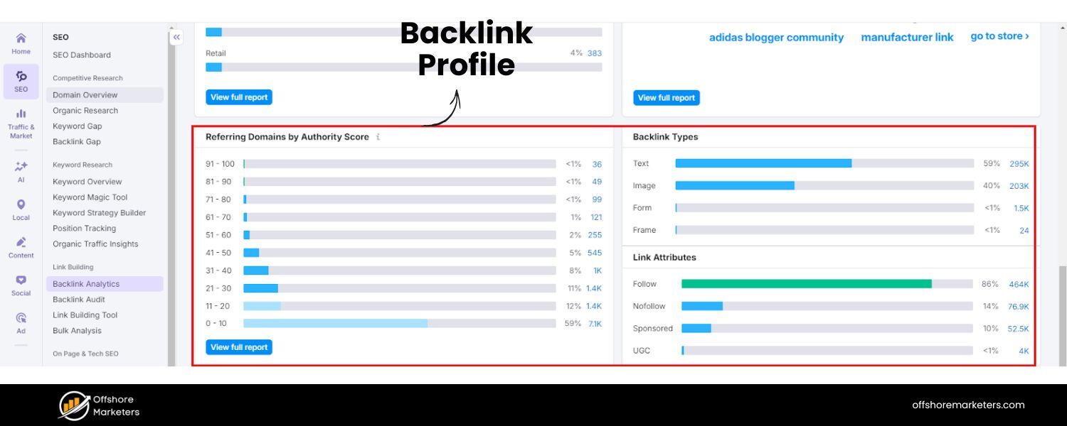 Backlink Profile (Quantity & Quality of Backlinks)