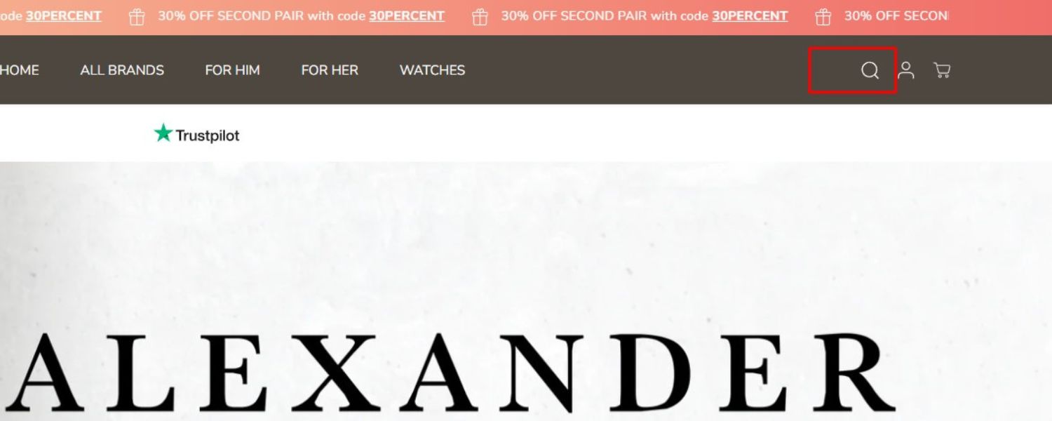 Site Search (if applicable)