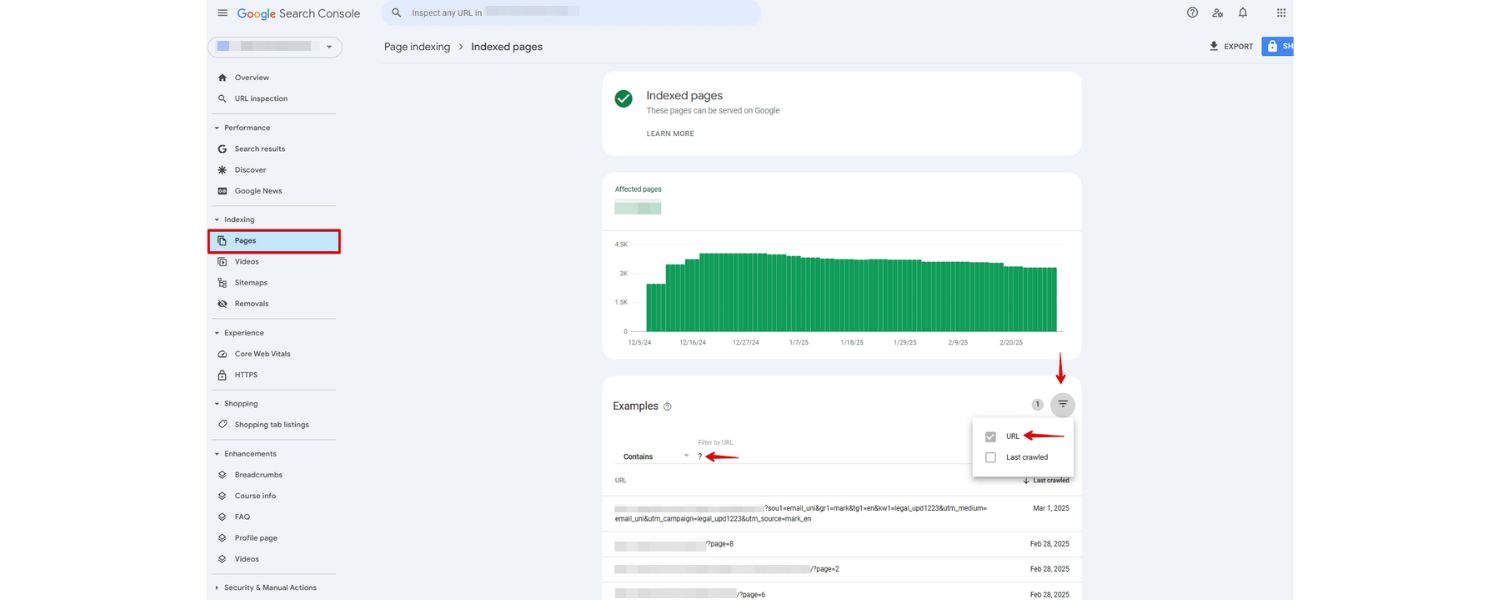 Monitor and Audit Your URL Parameter Issues