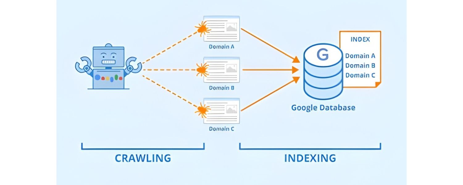 Manage Crawl Budget & Indexation