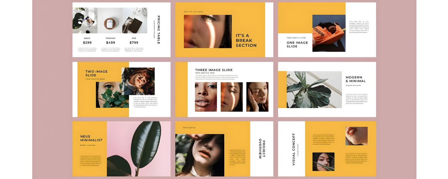 Presenting and Pitching Ideas