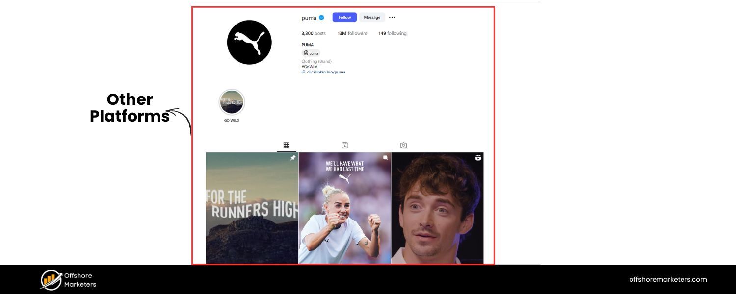 Use Other Platforms as Appropriate