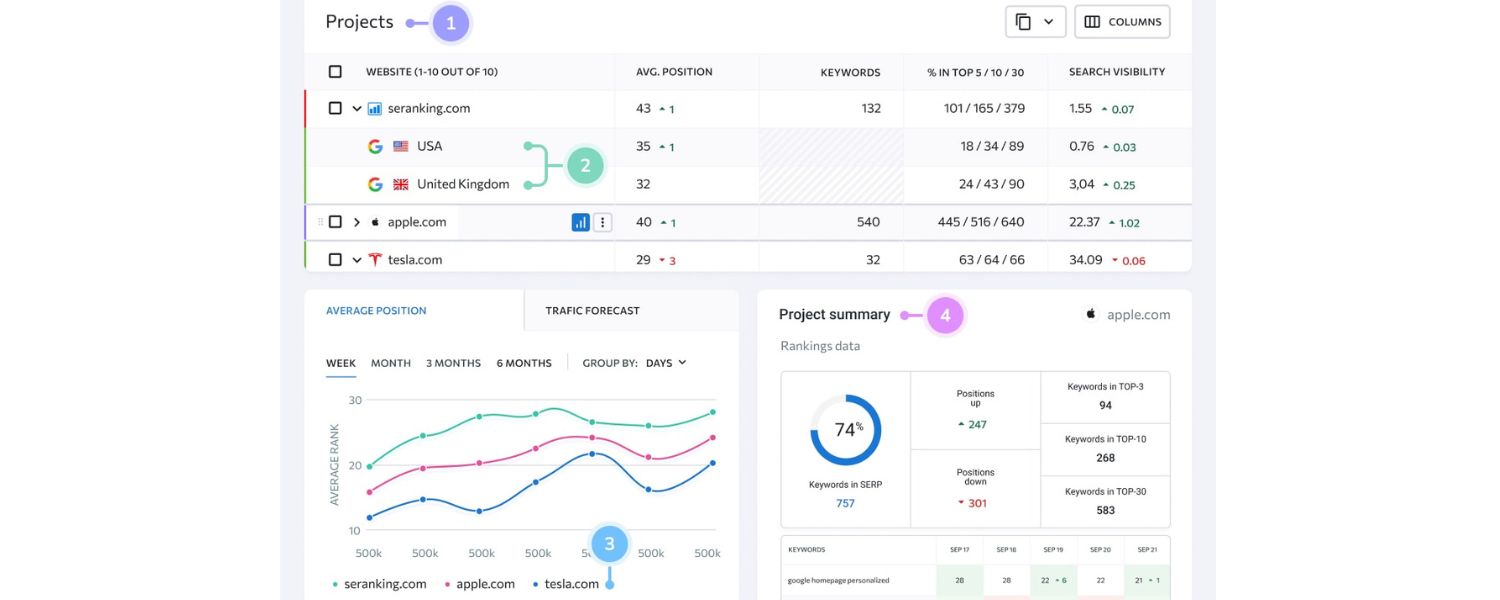 Rank Tracking & Analytics