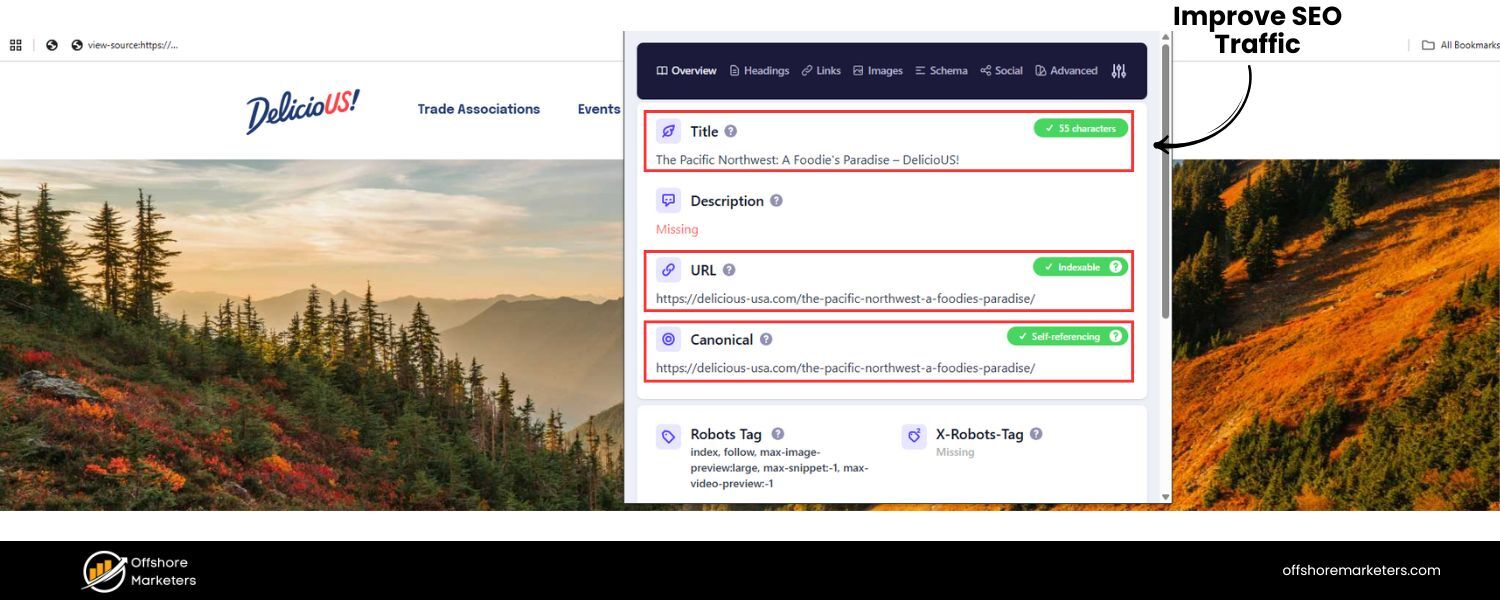 Improve SEO and Traffic
