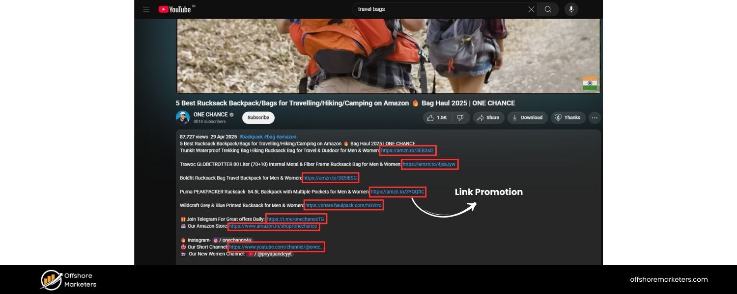 Launch an Affiliate Program (for Link Promotion)