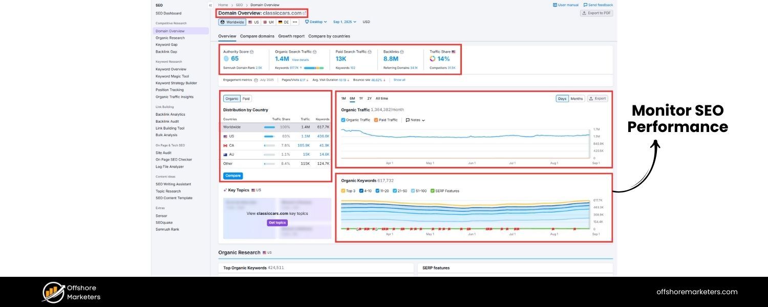 Monitor SEO Performance