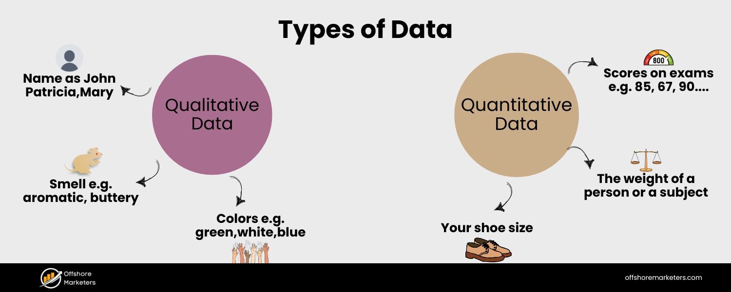 Quantitative vs. Qualitative Audits