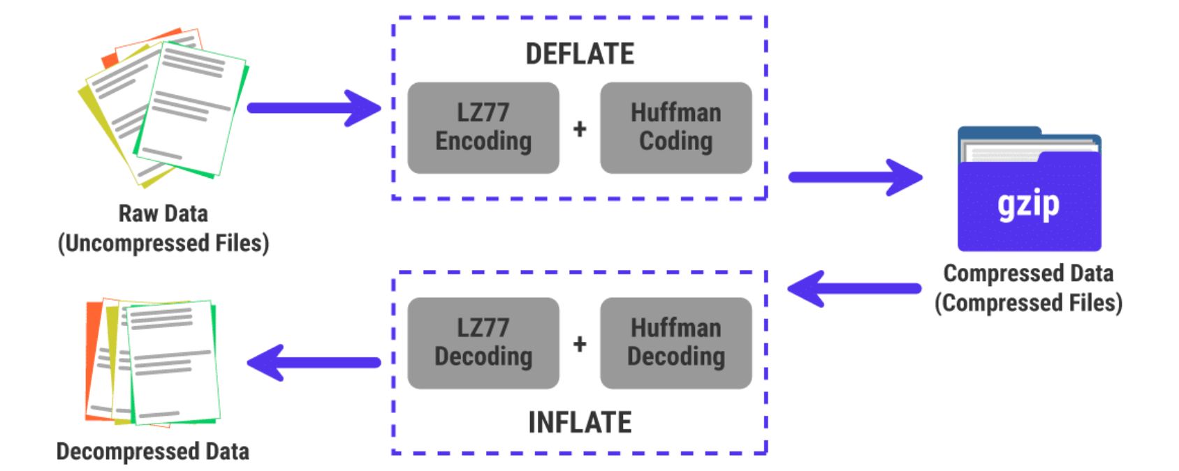 Enable Compression (Gzip/Brotli)