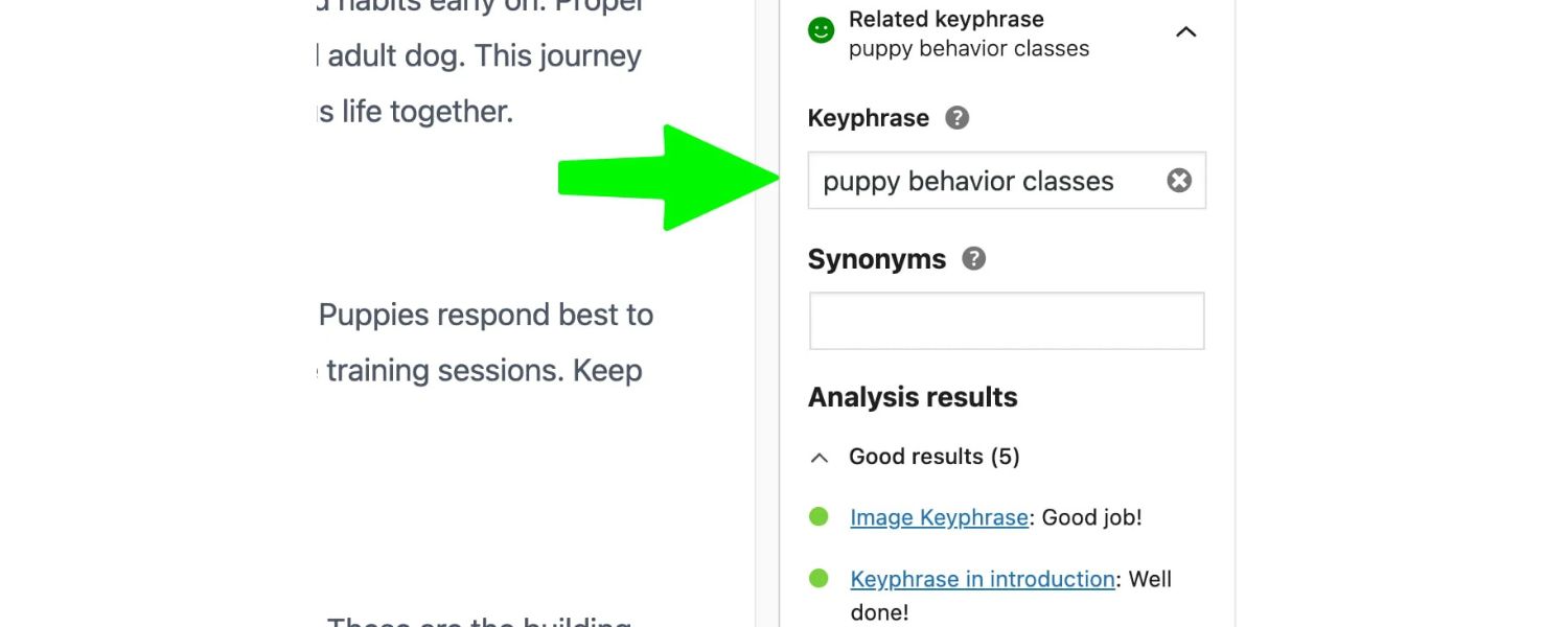 Introduce Key Terms Early