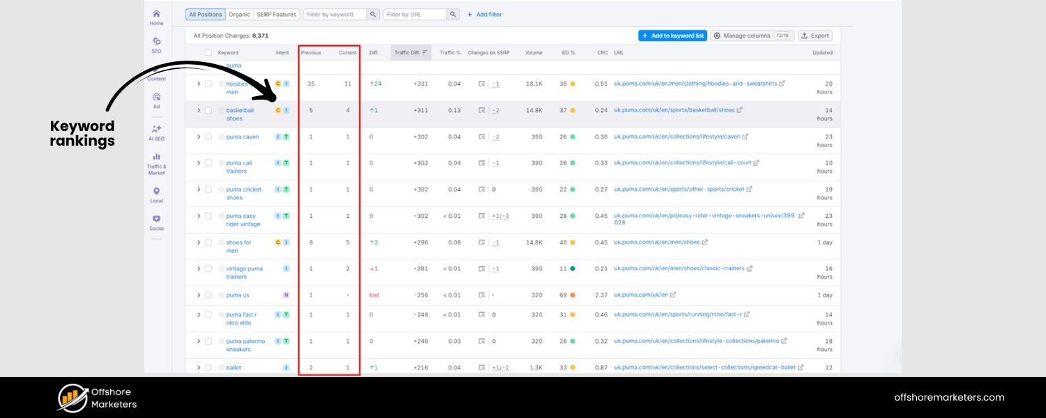 Keyword Rankings & Visibility