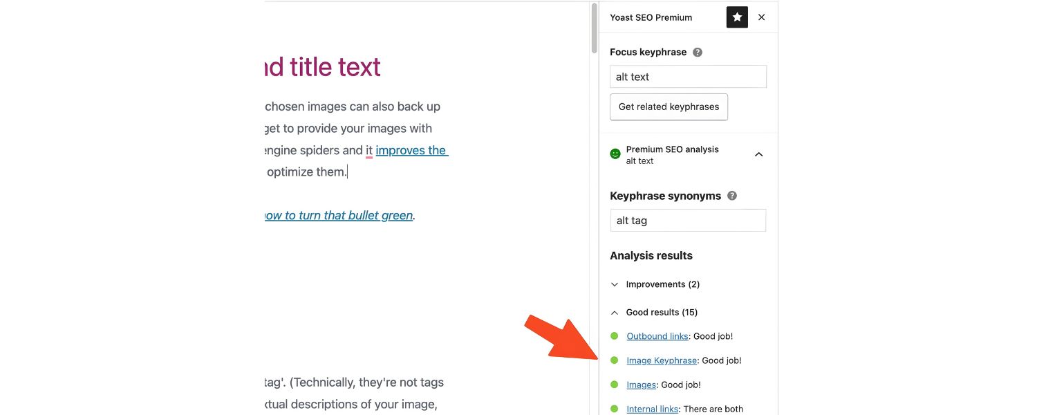 Image Alt Text and Optimization