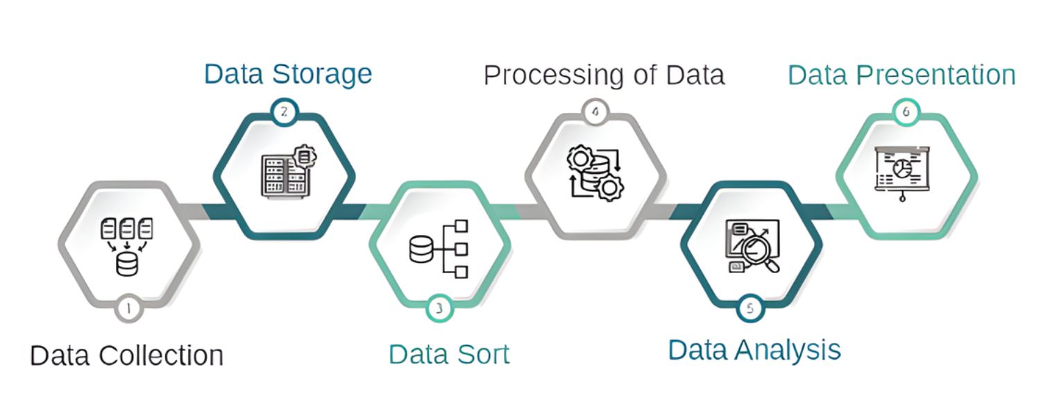 Analyze and Apply the Insights