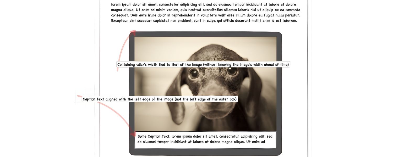 Provide Captions and Context Around Images