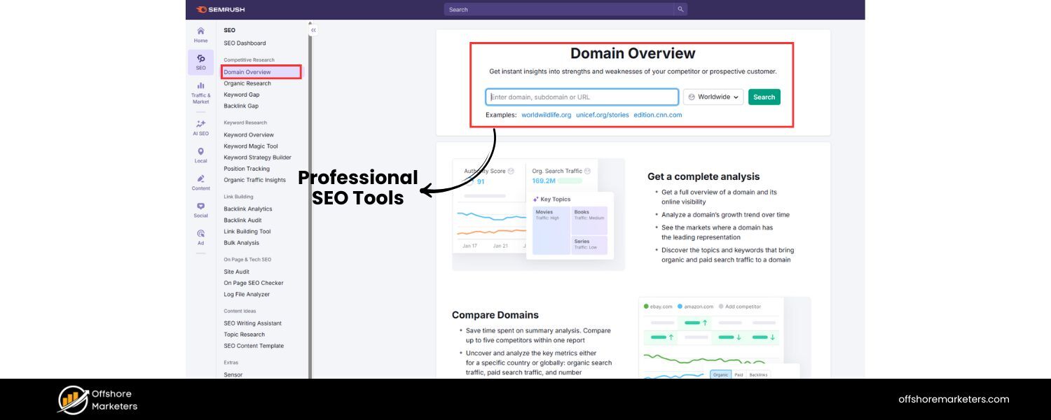 Professional SEO Tools