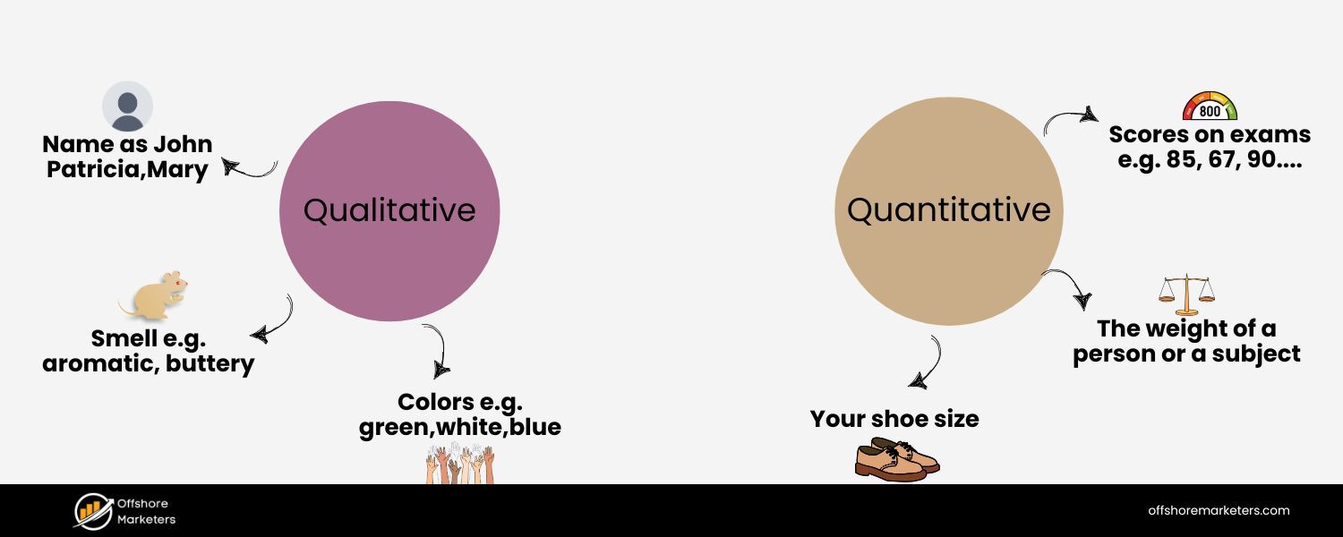 Qualitative vs. Quantitative Research