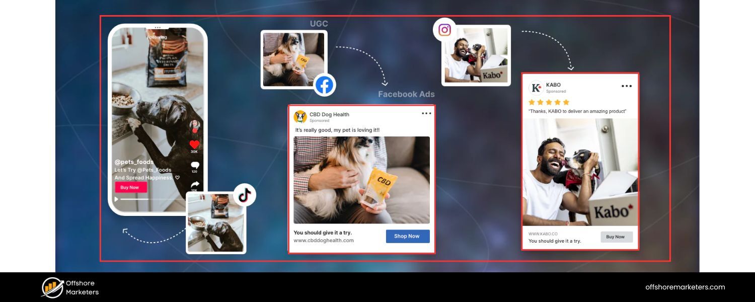 User-Generated Content (UGC)